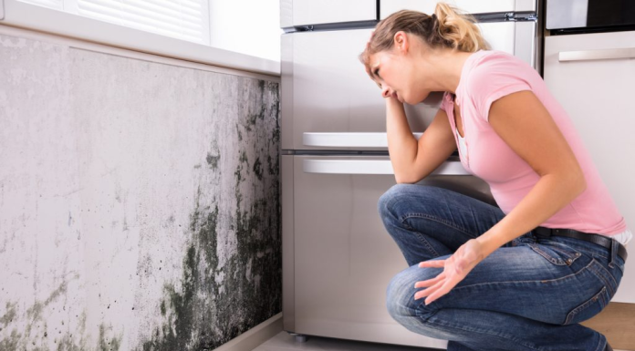 How Mold Treatment Services Offer Peace of Mind for Homeowners Mold Treatment