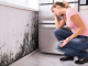 How Mold Treatment Services Offer Peace of Mind for Homeowners Mold Treatment